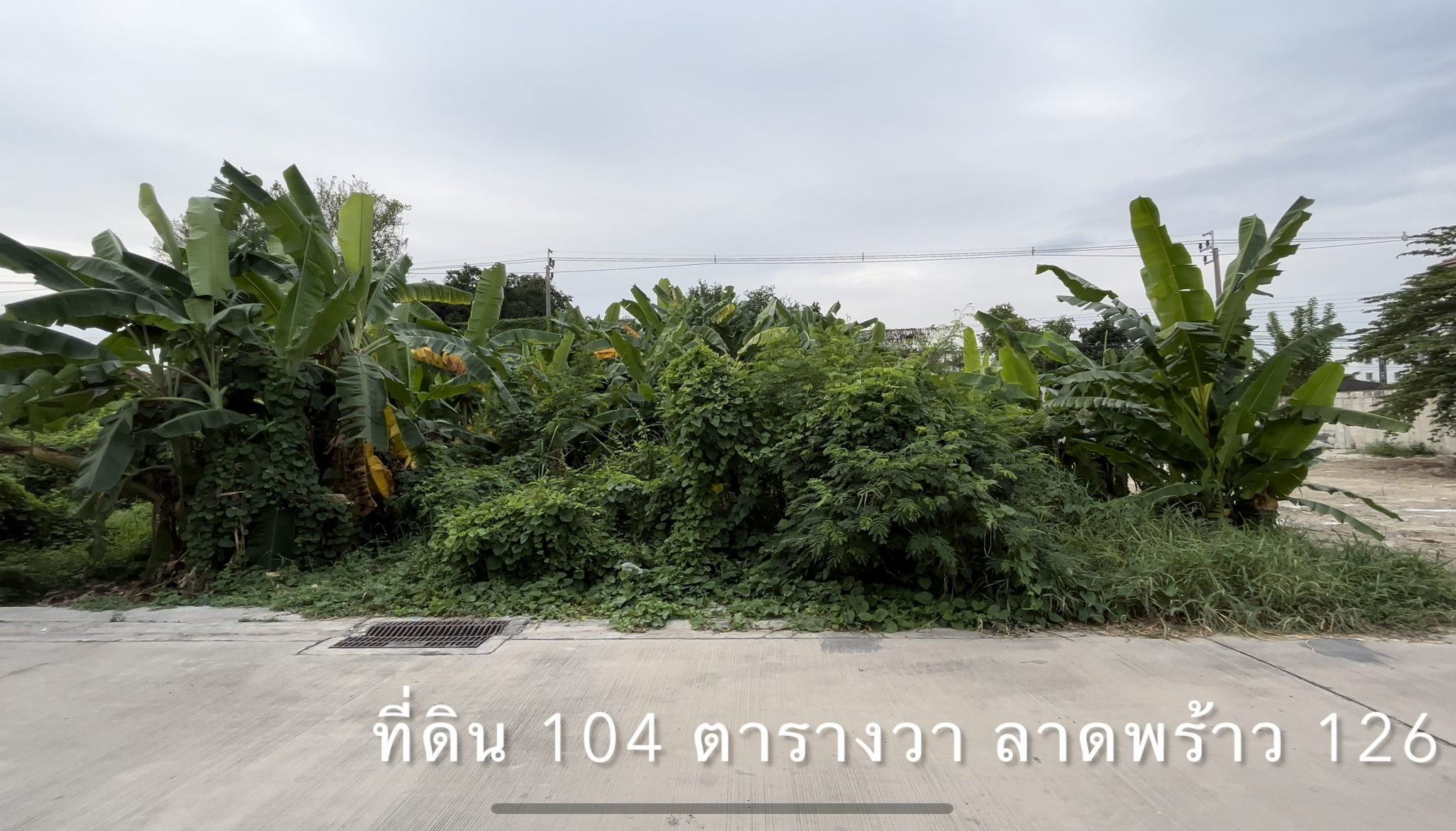 ที่ดิน 104 ตารางวา, ลาดพร้าว 126, ลาดพร้าว 122 แยก 9 (มหาดไทย รามคำแหง 65) เพียงตารางวาละ 75,000.-
