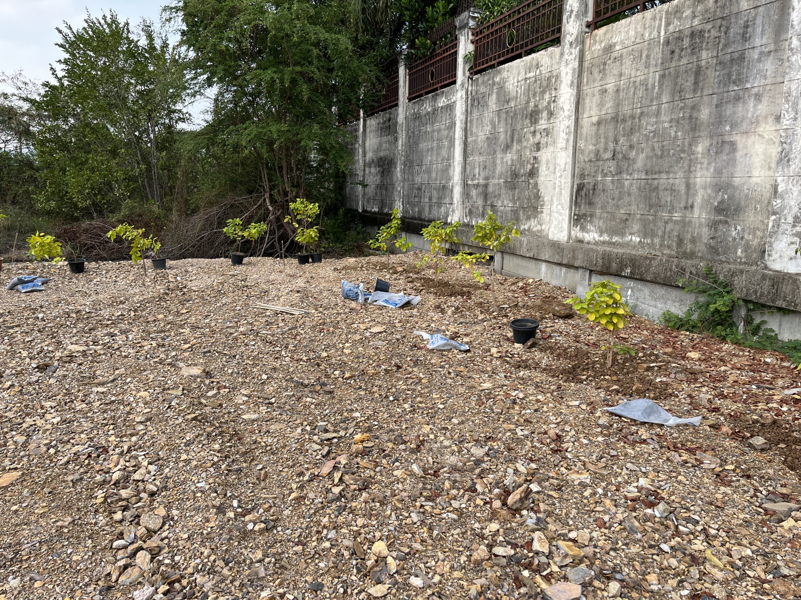 ให้เช่าที่ดิน 192 ตารางวา, รามคำแหง 118 แยก 46, ถนนเมนกว้าง 14 เมตร, เช่า 30,000 บาท/เดือน